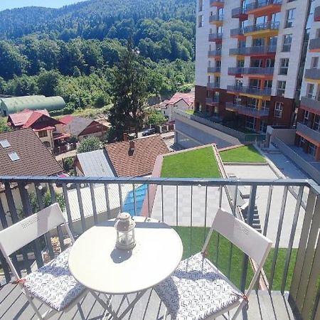 Belle View Sinaia-Free Parking公寓 外观 照片