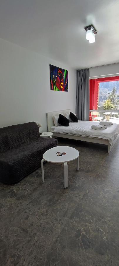 Belle View Sinaia-Free Parking公寓 外观 照片