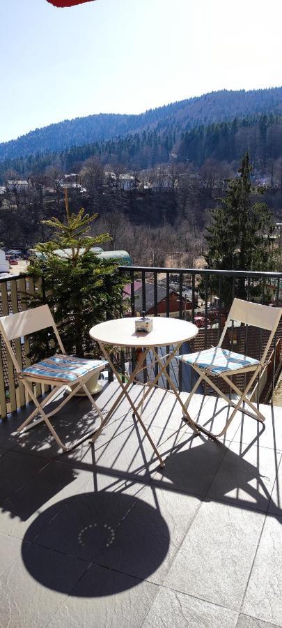 Belle View Sinaia-Free Parking公寓 外观 照片