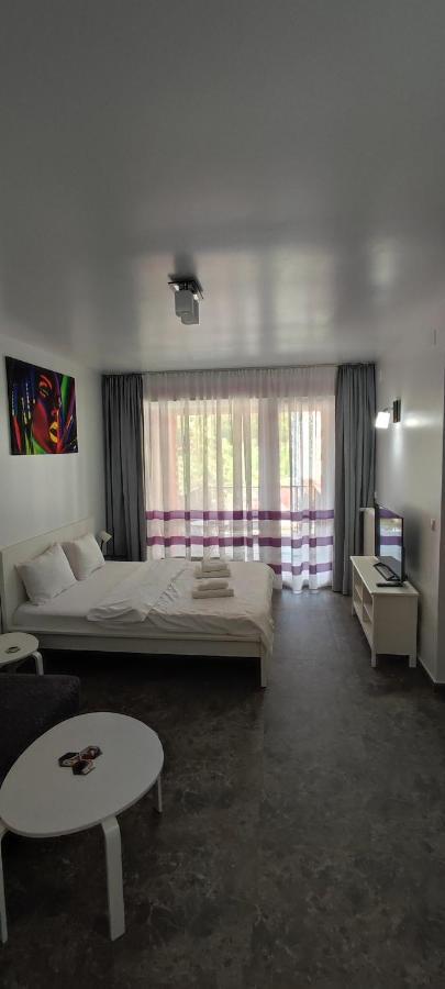 Belle View Sinaia-Free Parking公寓 外观 照片