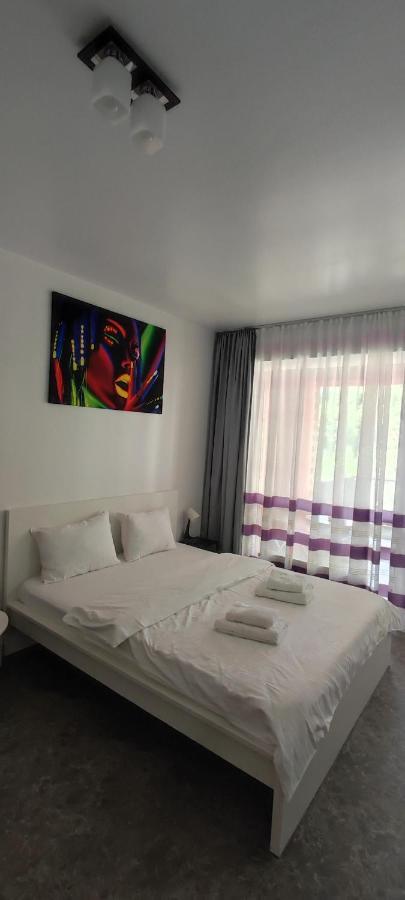 Belle View Sinaia-Free Parking公寓 外观 照片
