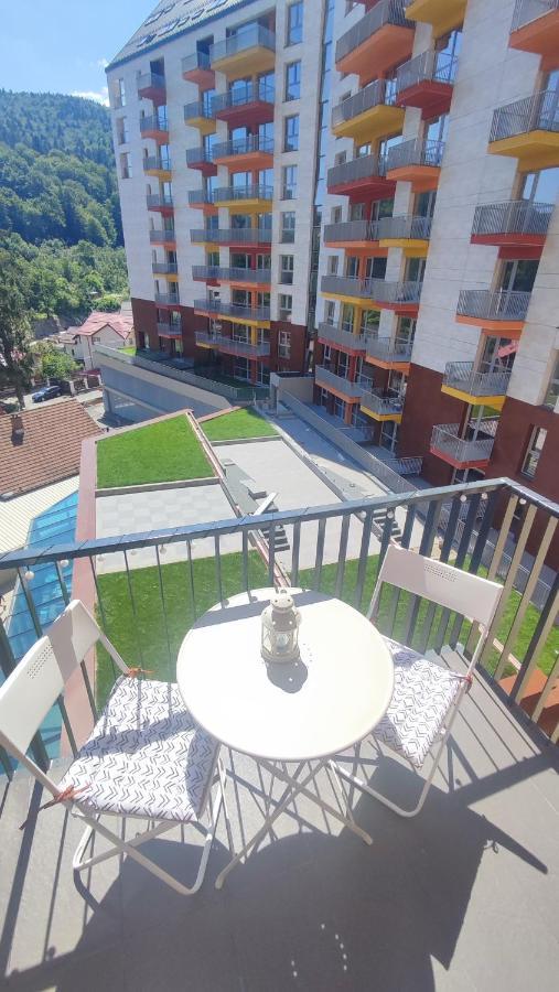 Belle View Sinaia-Free Parking公寓 外观 照片