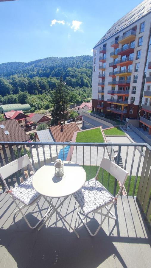 Belle View Sinaia-Free Parking公寓 外观 照片